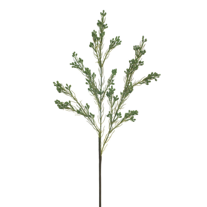 Wax Flower Seed Stem 63cm Green Grey Pack of 24