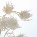 Wheat Flower Stem 75cm White Pack of 12