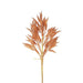 Wheat Stem 66cm Apricot Pack of 12