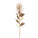 Wheat with Leaves 50cm Stem Brown Pack of 12