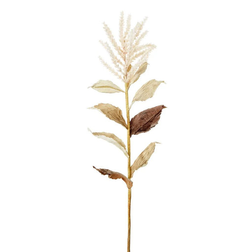 Wheat with Leaves 50cm Stem Cream Pack of 12