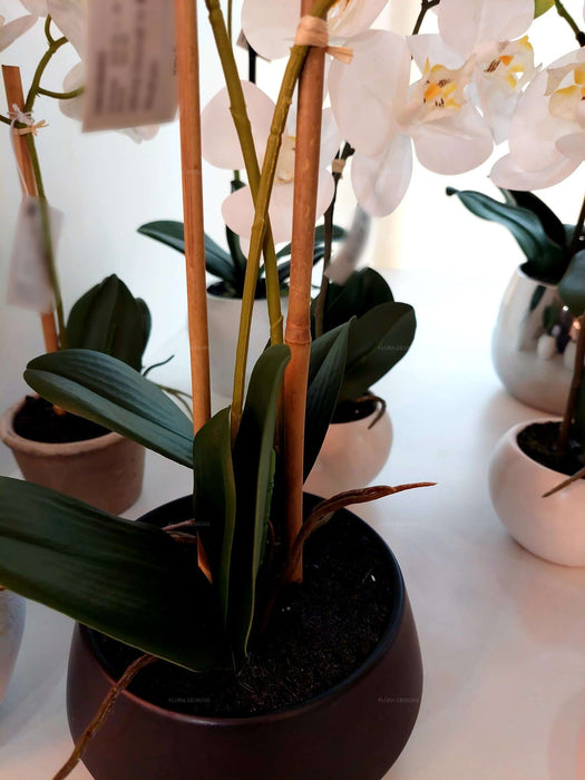 White Orchid In Black Pot Medium 41cm Set of 2