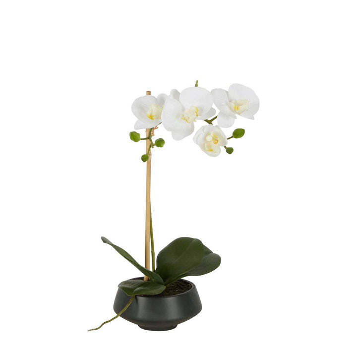 White Orchid In Black Pot Small 38cm Set of 3