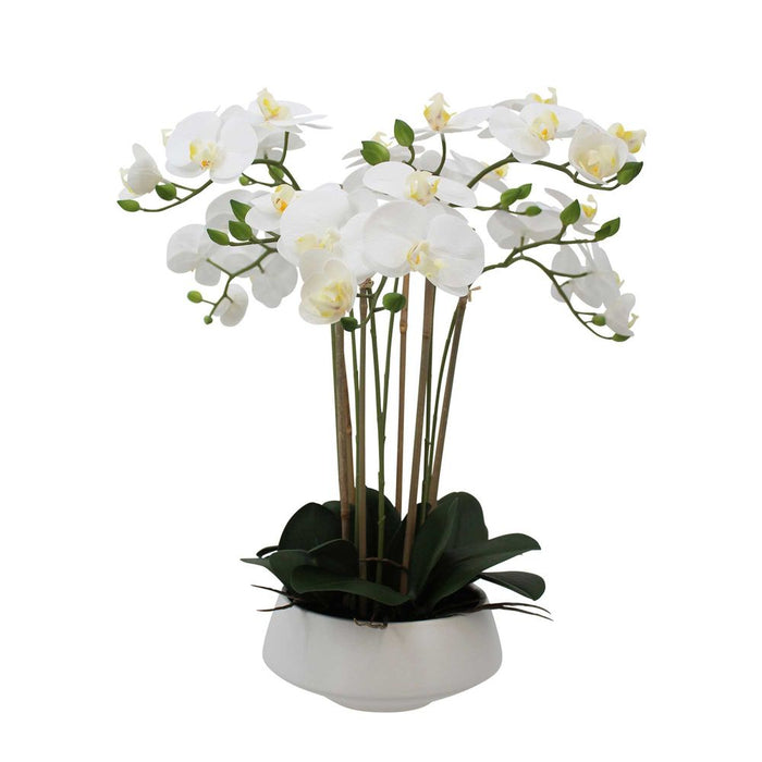 White Orchid In White Pot 51cm