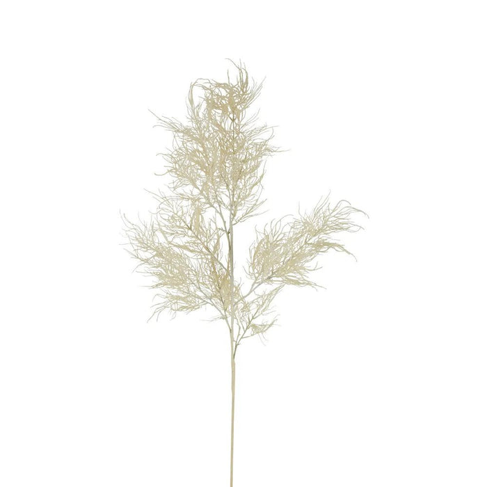 Wild Branch Natural Large Pack of 2