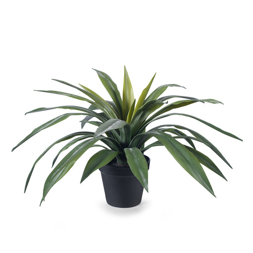 Yucca Plant Green 46cm Pack of 2