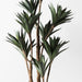Yucca Plant 122cm Pack of 2