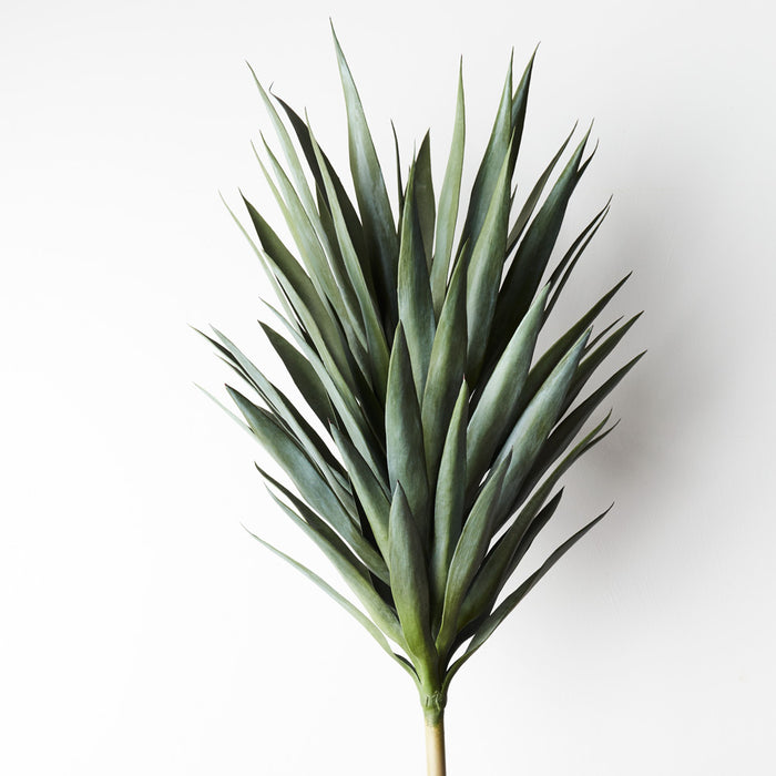 Yucca Plant Stem Only Green 75cm Pack of 2