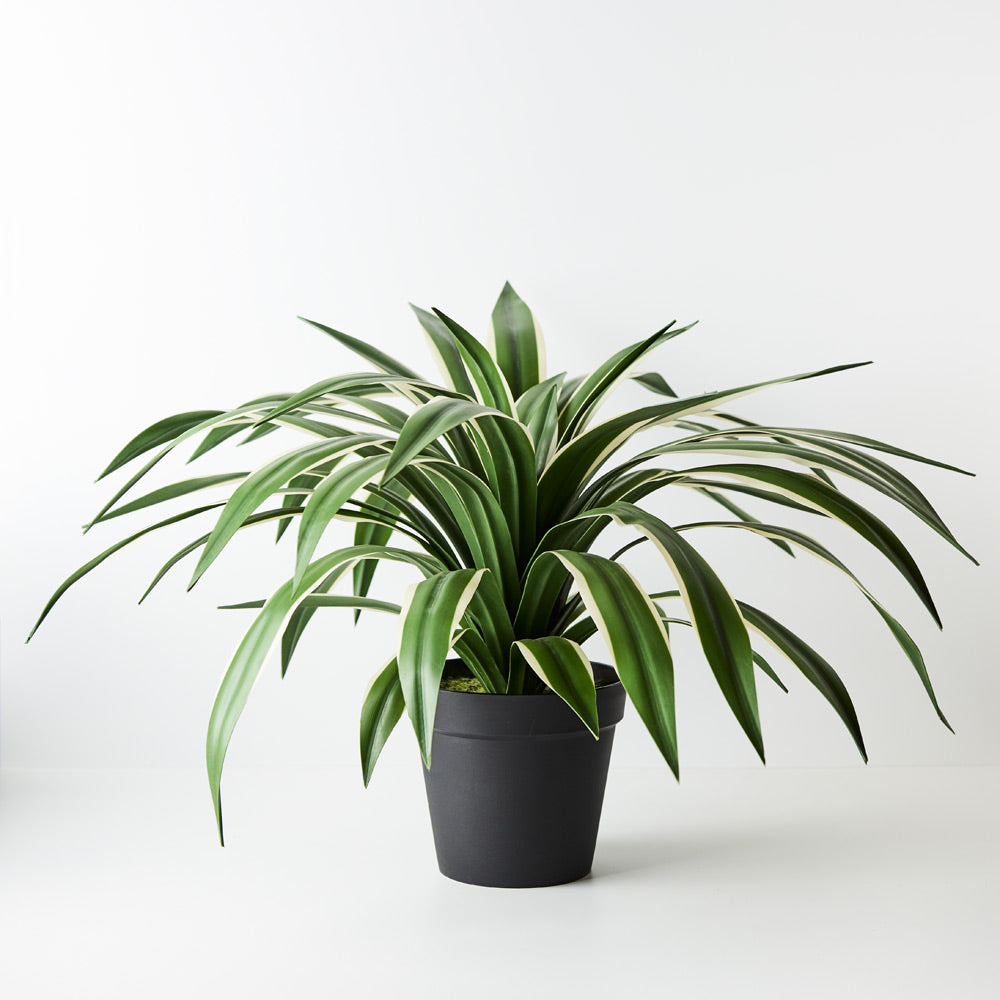 Artificial Yucca Plants & Trees