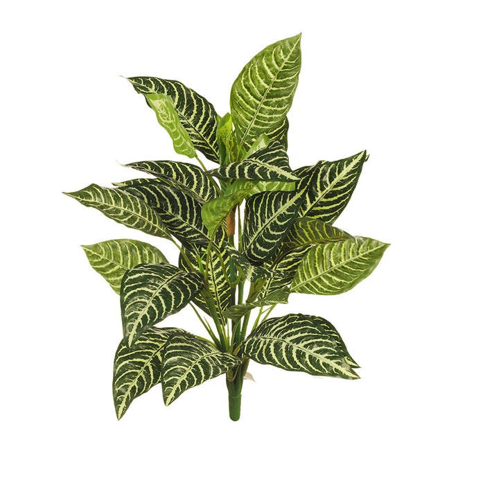 Zebra Bush Green 48cm Pack of 12