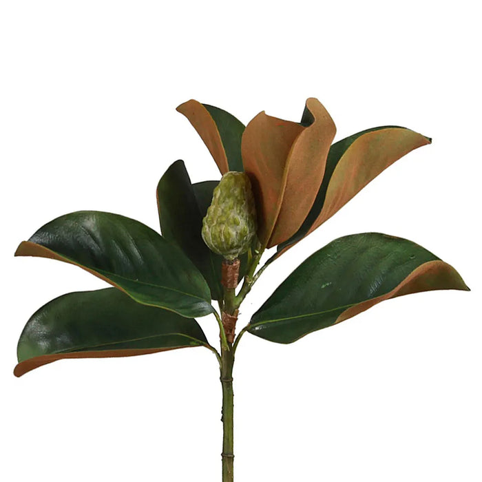 Magnolia Bud Green 60cm Pack of 12