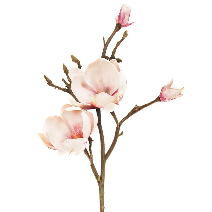 Magnolia Stem Light Pink 60cm Pack of 6