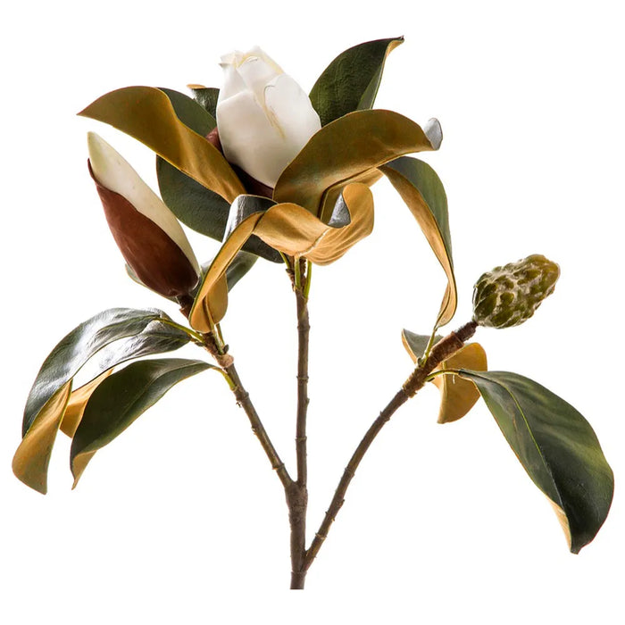 Magnolia Bud White 60cm Pack of 6