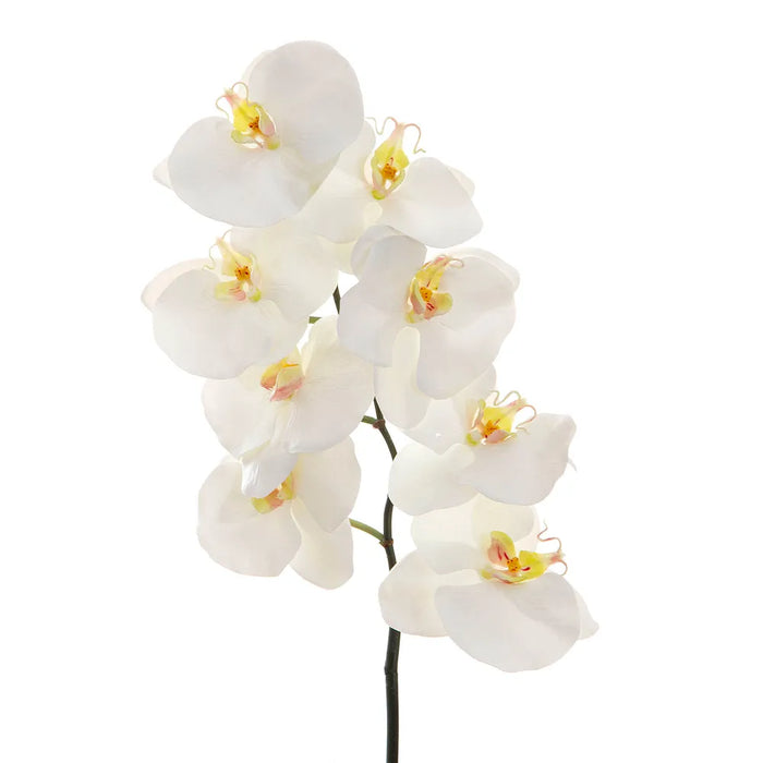 Orchid Phalaenopsis Spray White 100cm Pack of 6