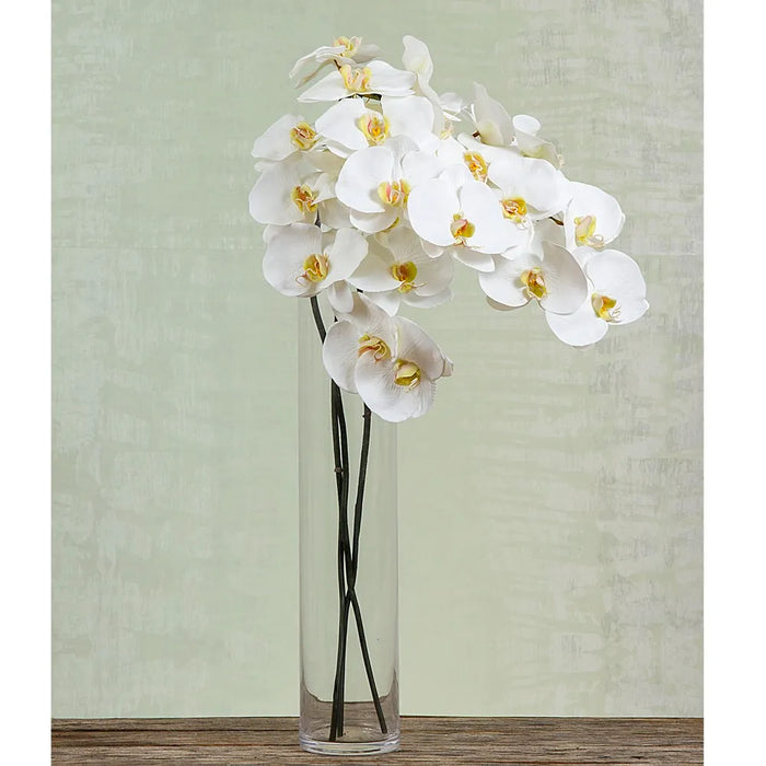 Orchid Phalaenopsis Spray White 100cm Pack of 6
