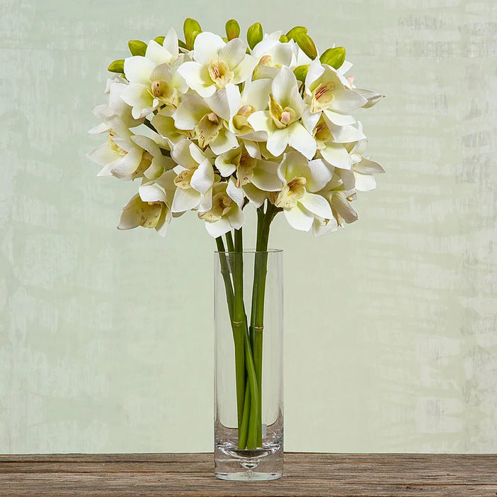 Orchid Cymbidium Spray White 47cm Pack of 6