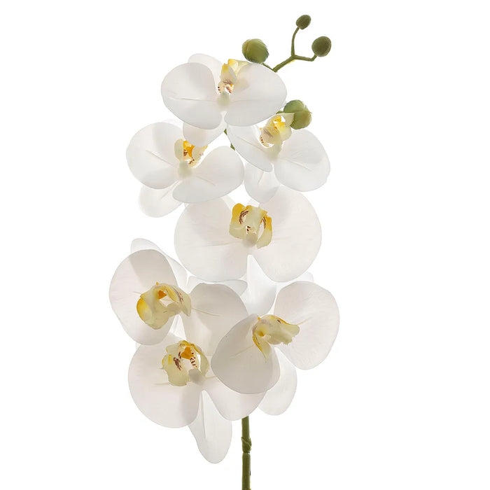 Orchid Phalaenopsis Spray Real Touch 70cm White Pack of 12