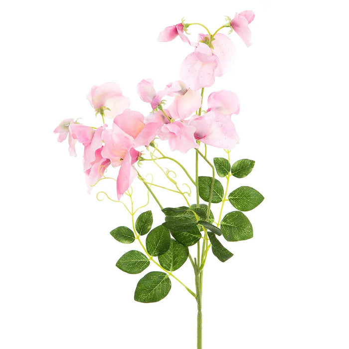 Sweetpea Spray Pink 70cm Pack of 12