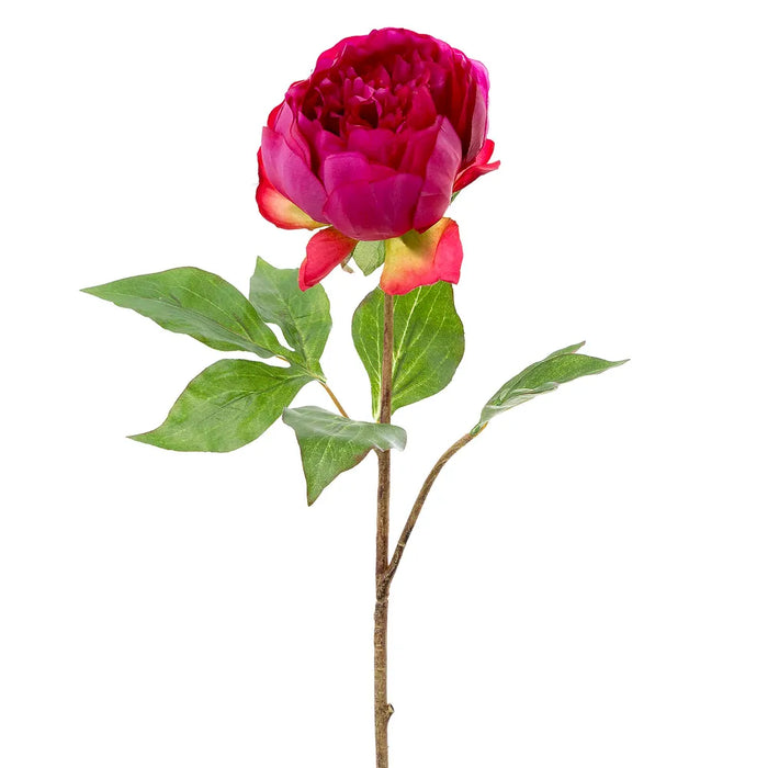 Peony Spray Fuchsia 60cm Pack of 12