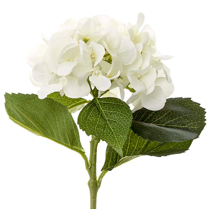 Hydrangea Water White 49cm Pack of 12