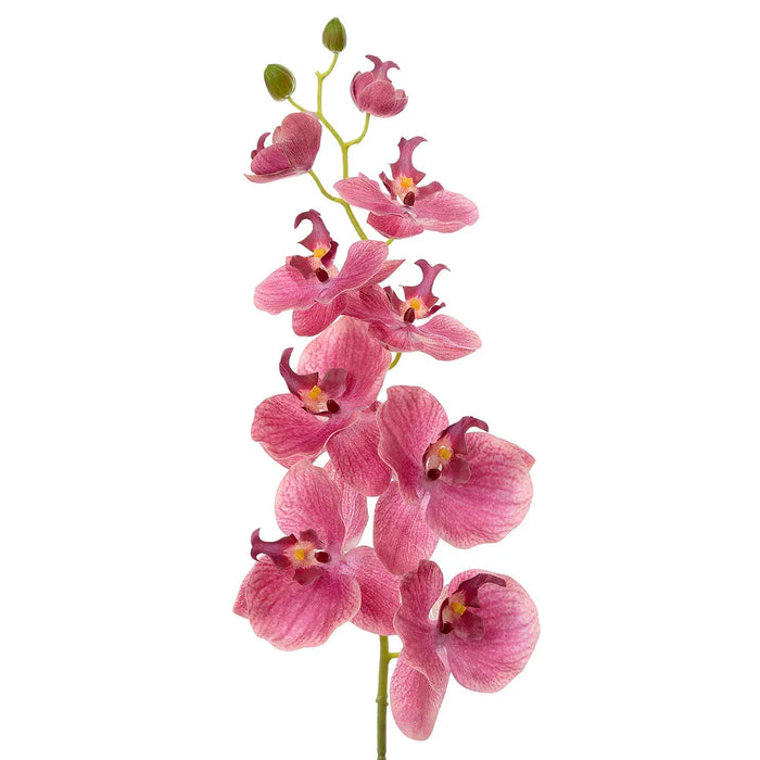 Orchid Phalaenopsis Spray Pink 74cm Pack of 12