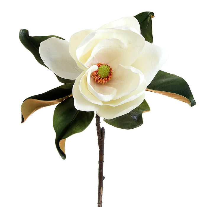 Magnolia White 77cm Pack of 6