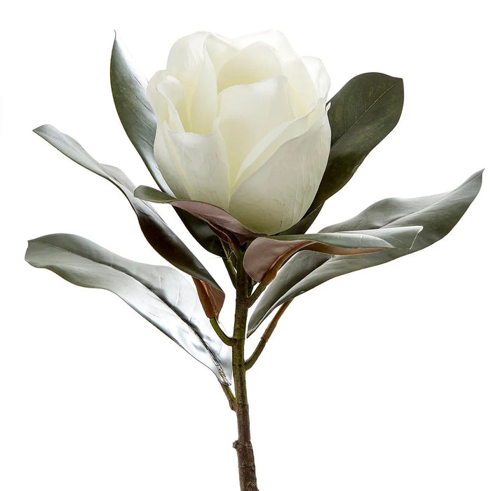 Magnolia Single Head White 70cm Pack of 12