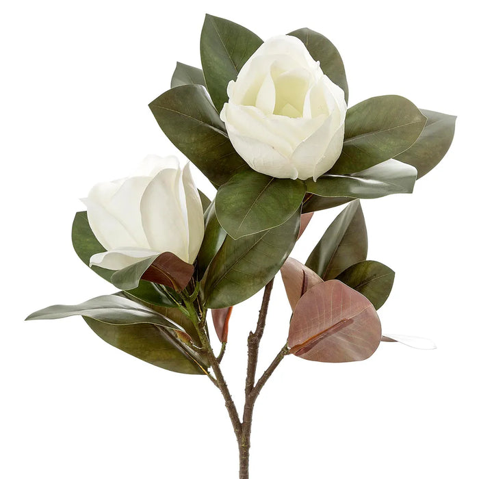 Magnolia Large 2 Heads White 85cm Pack of 6