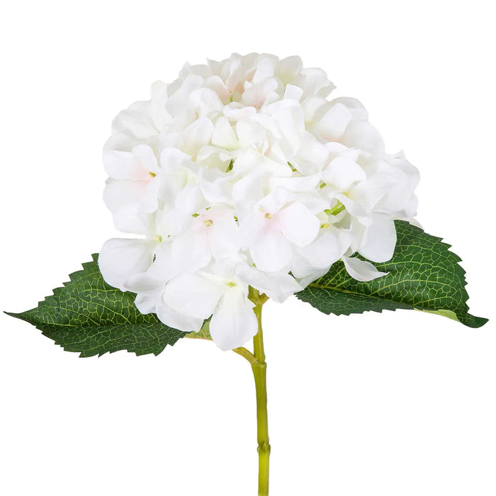 Hydrangea White 62cm Pack of 12