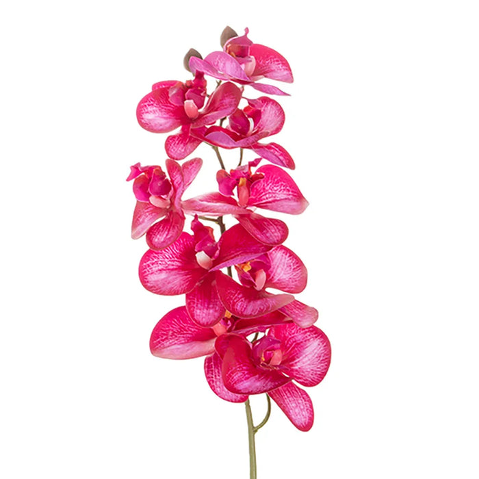 Orchid Stem Red 85cm Pack of 12