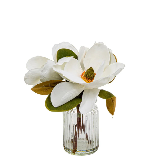 Magnolia In Glass Vase White 30cm Set of 6