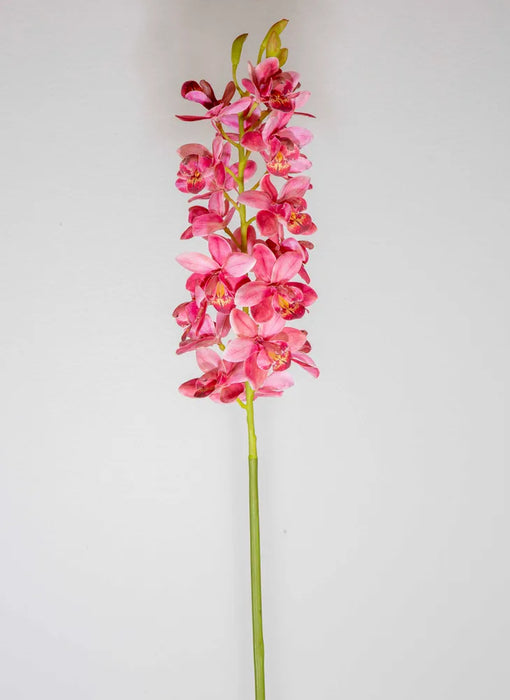Orchid Cymbidium Dark Pink 80cm Pack of 6