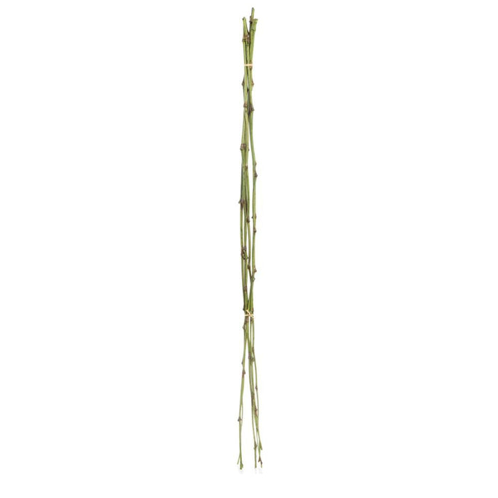 Bamboo Bundle 100cm Pack of 12