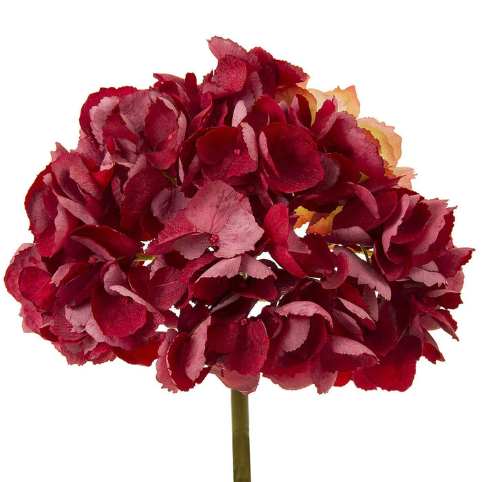 English Hydrangea 49cm Red Pack of 6