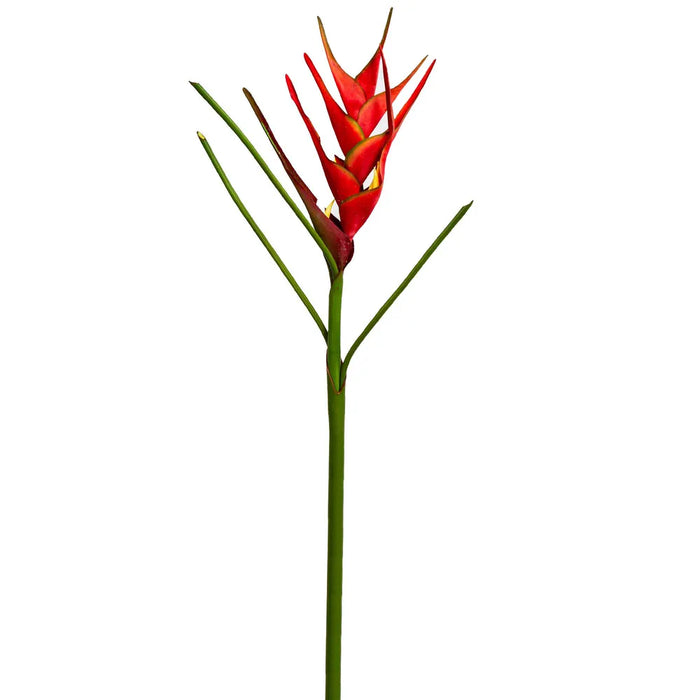 Heliconia Red 82cm Pack of 6