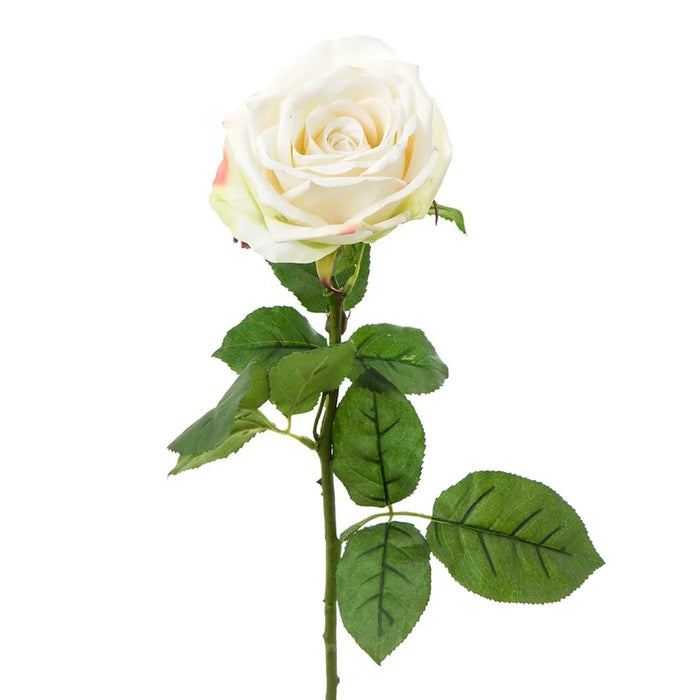 Cabbage Rose Real Touch White 65cm Pack of 12