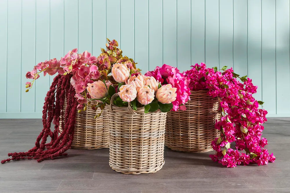 Protea Queen Stem Pink 70cm Pack of 12