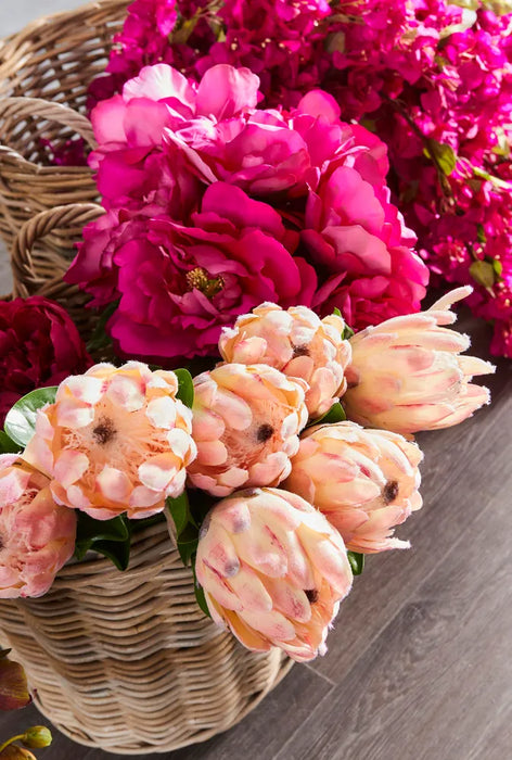 Protea Queen Stem Pink 70cm Pack of 12