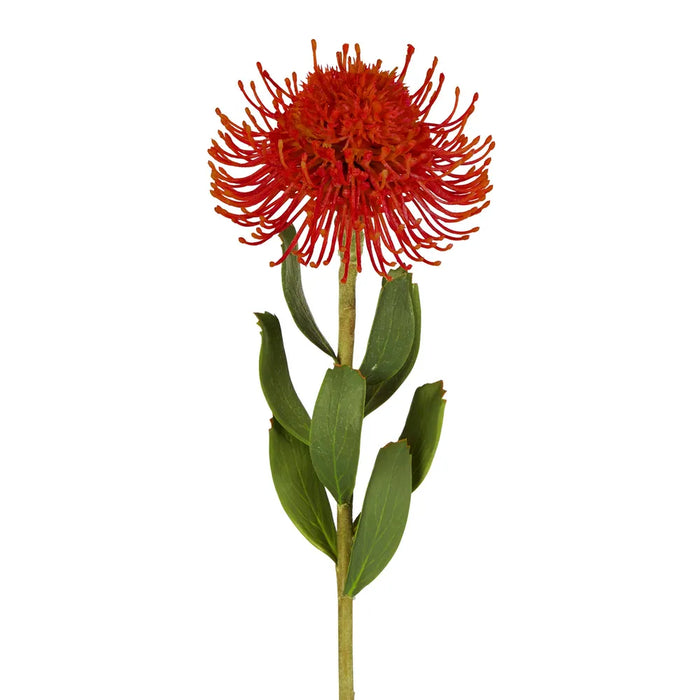 Pincushion Flower Stem Red 58cm Pack of 12