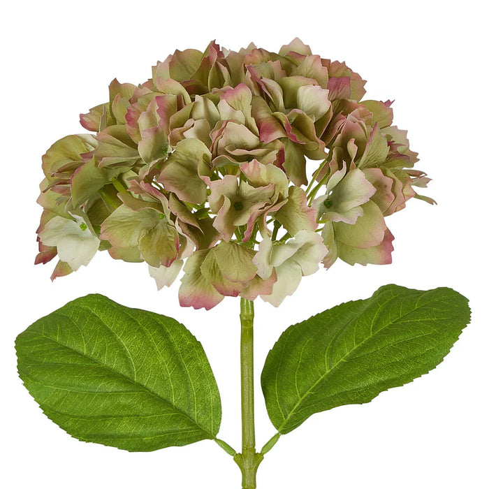 Hydrangea Stem Soft Touch Green 50cm Pack of 12