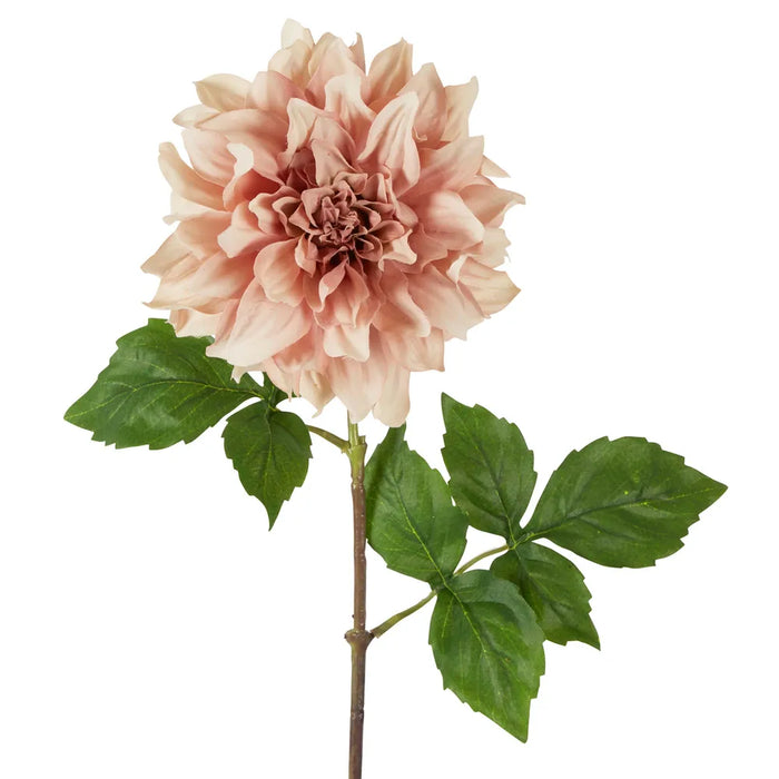 Dried Look Dahlia Stem Large Light Pink 61cm Pack of 12