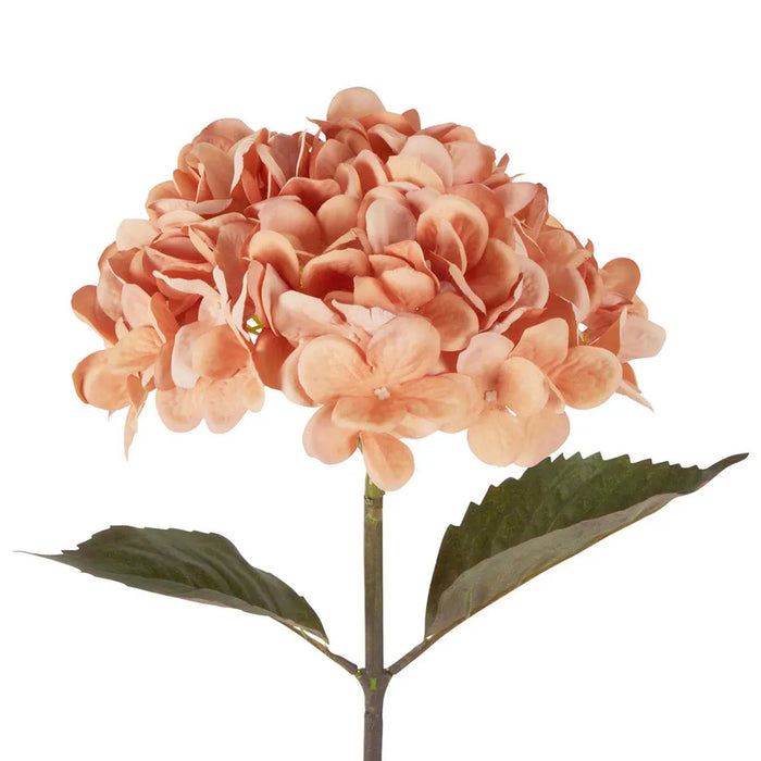 Dried Look Hydrangea Stem Apricot 48cm Pack of 12