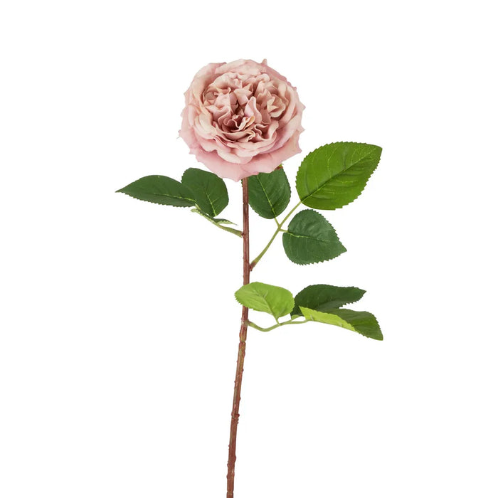 Dried Look English Rose Stem Pink 50cm Pack of 12