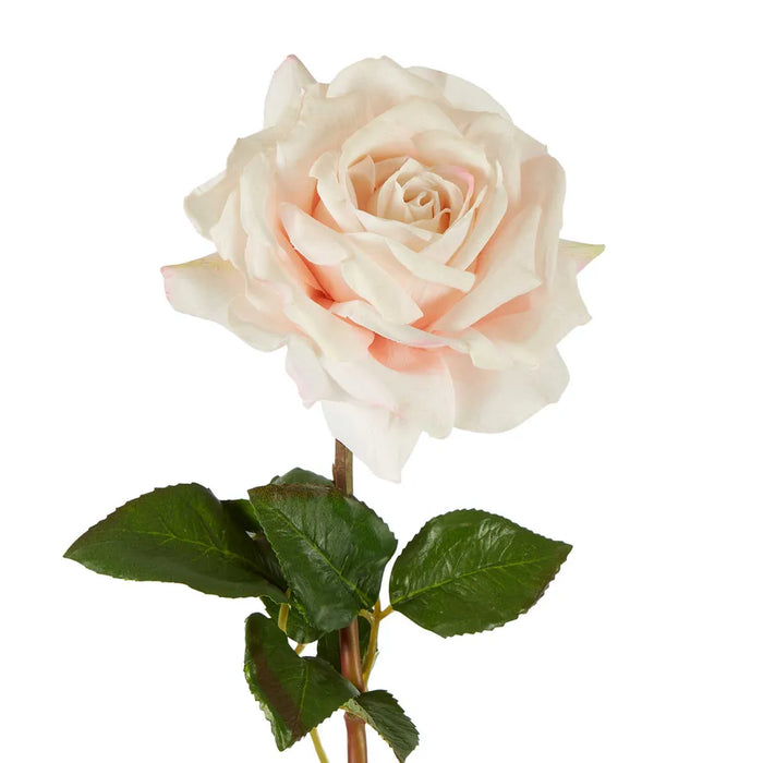 Stella Real Touch Rose Stem Blush Pink 50cm Pack of 12