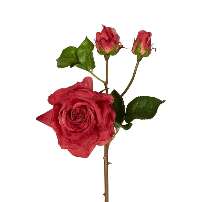 Olivia Bud Real Touch Rose Stem Rouge Red 53cm Pack of 12