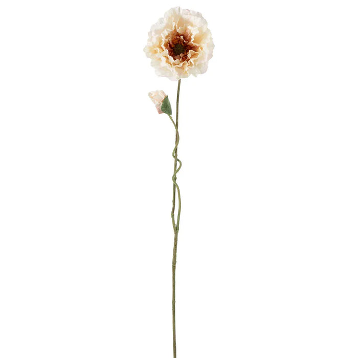 Poppy Stem White 75cm Pack of 12