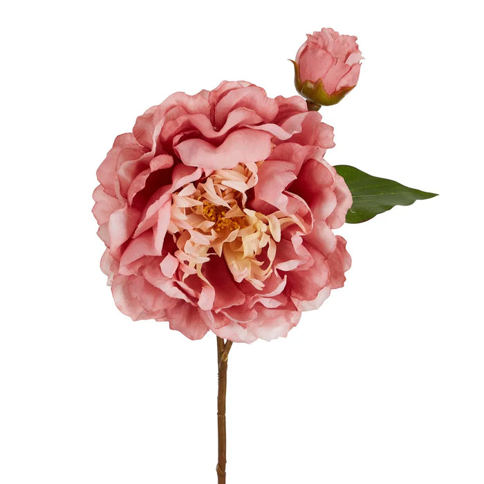 Peony Stem Pink 61cm Pack of 16