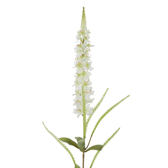 Veronica Speedwell Flower Stem White 103cm Pack of 12