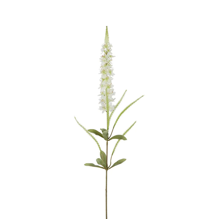 Veronica Speedwell Flower Stem White 103cm Pack of 12