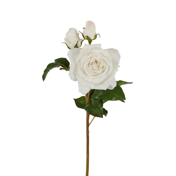 Olivia Bud Real Touch Rose Stem White 53cm Pack of 12